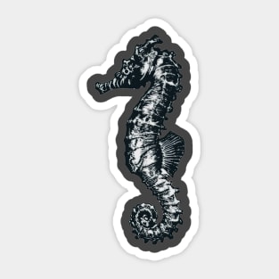 Seahorse Sticker